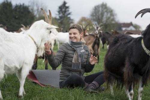 Achtsam mit Ziegen in Wächtersbach
