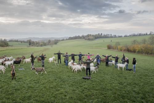 Achtsam mit Ziegen in Wächtersbach